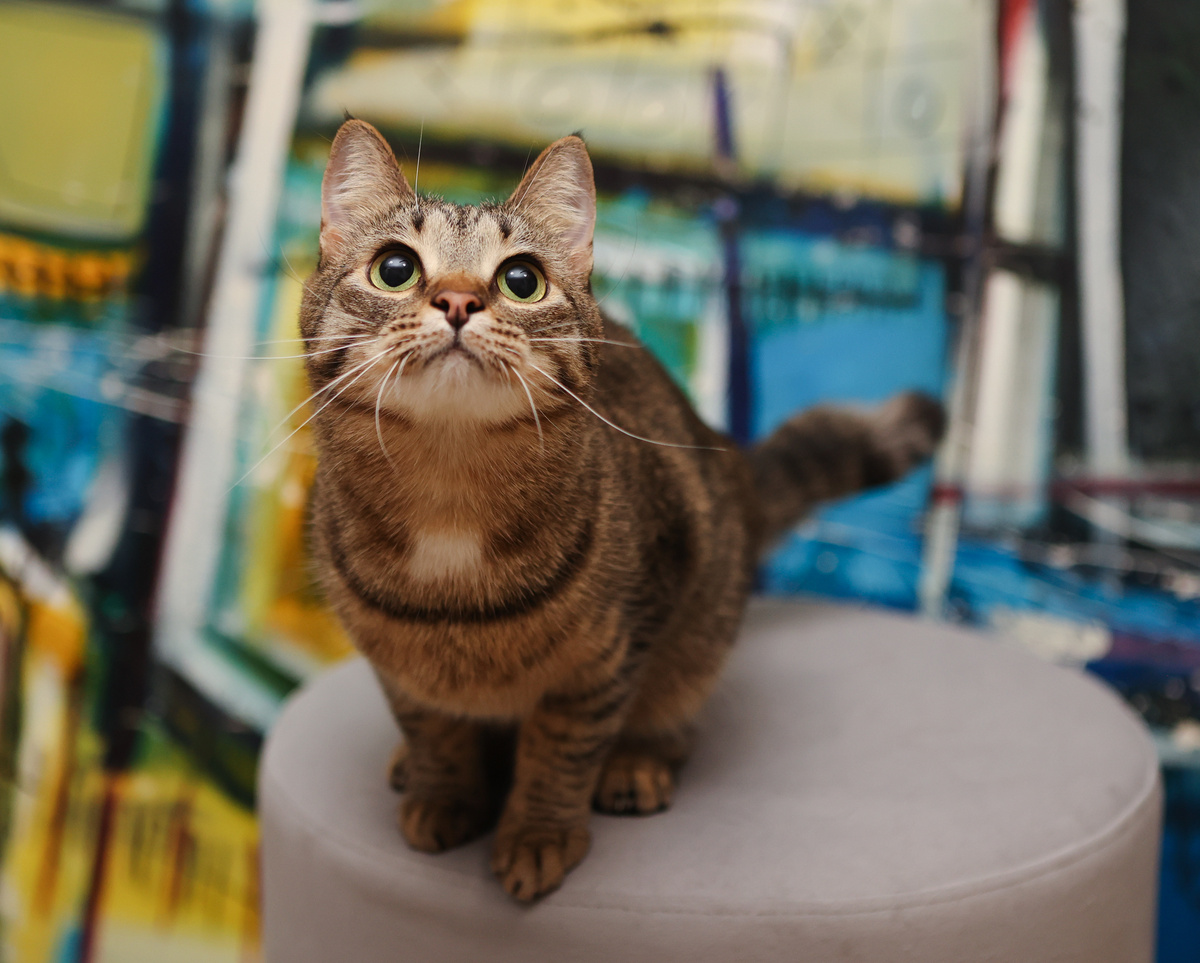 Идеальнее еще поискать между прочим!