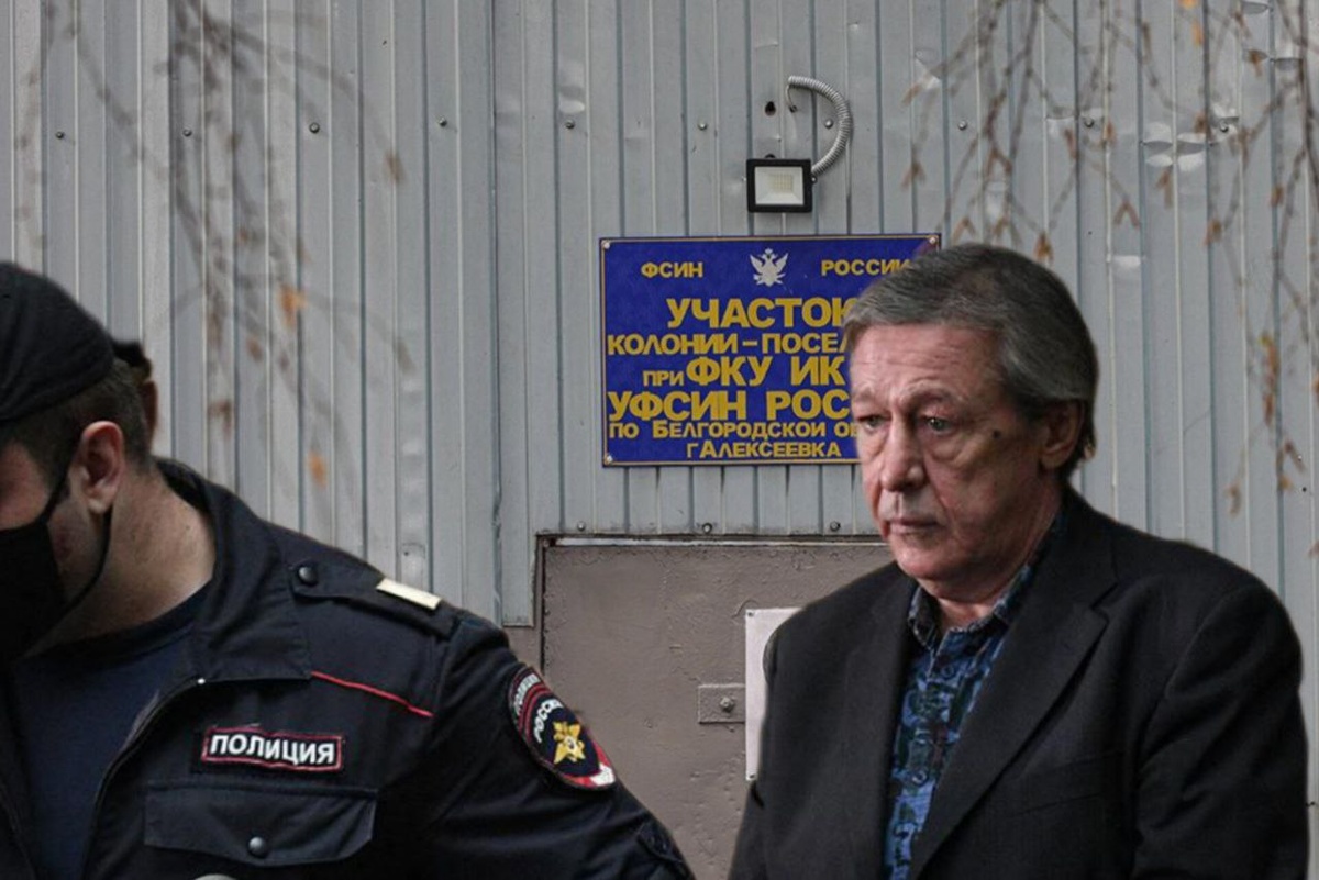 Коллаж редакции