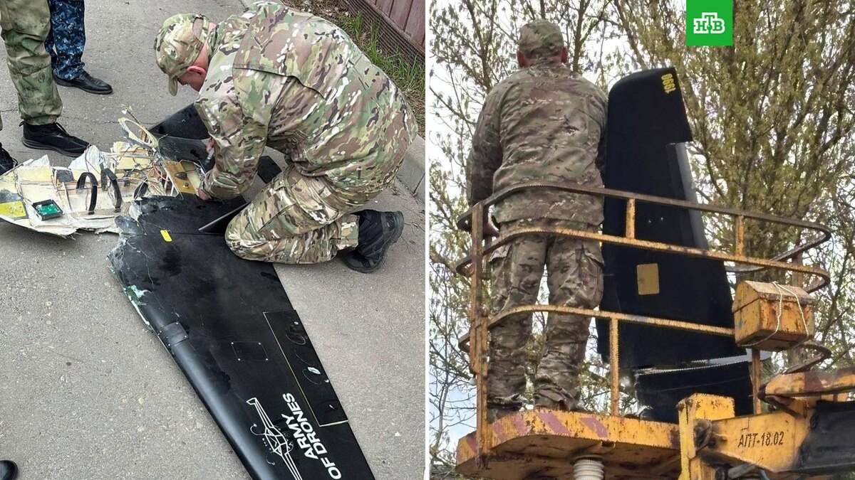    Фото: Yuri_Slusar / t.me