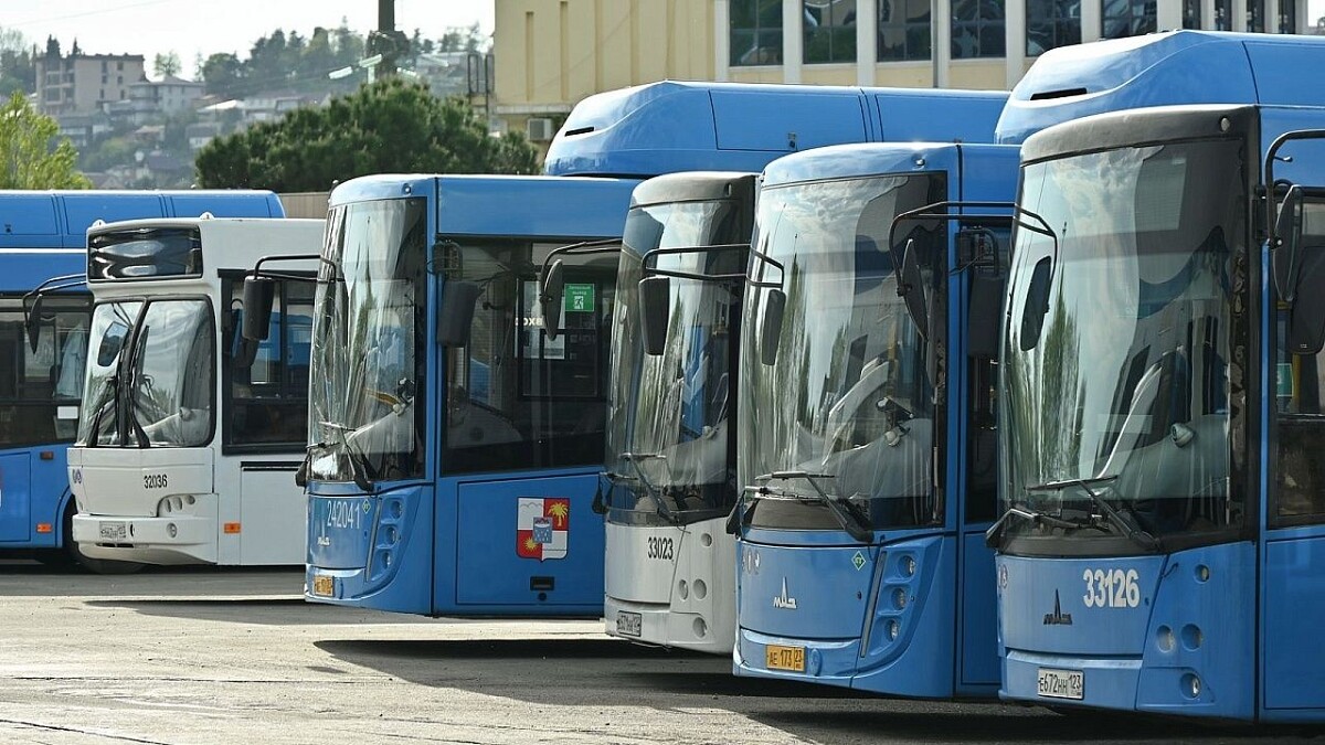    Фото: пресс-служба администрации Сочи