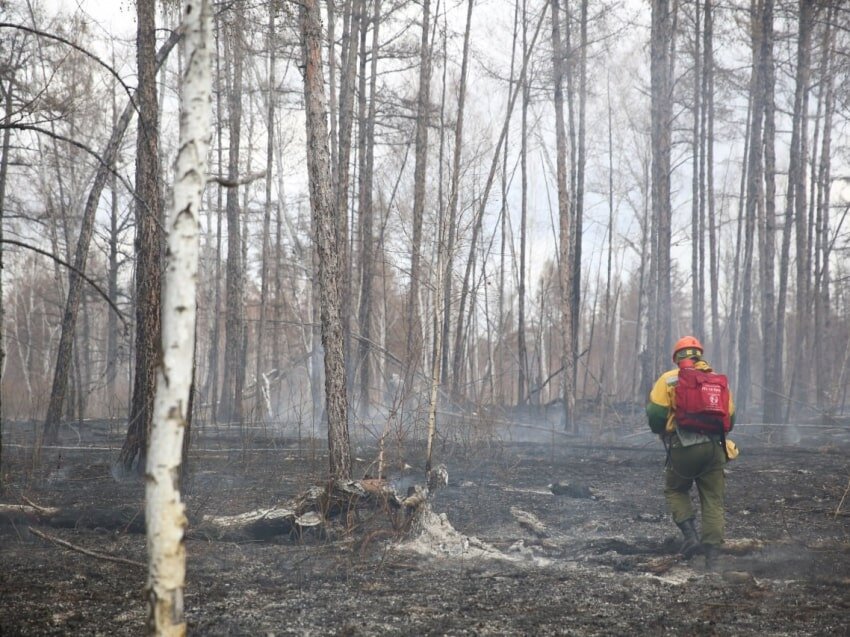    Фото: пресс-служба правительства Забайкалья