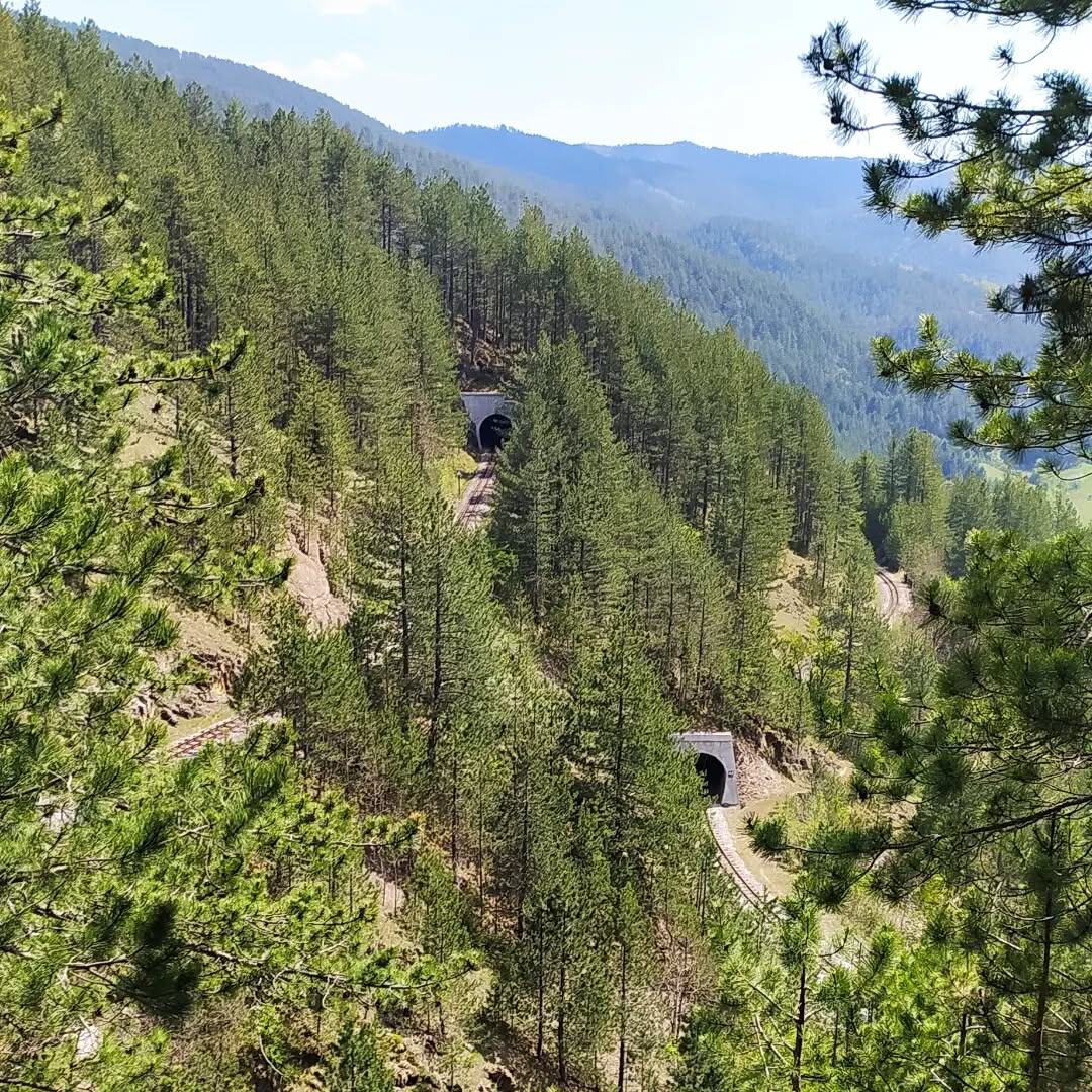 Шарганска Осмица