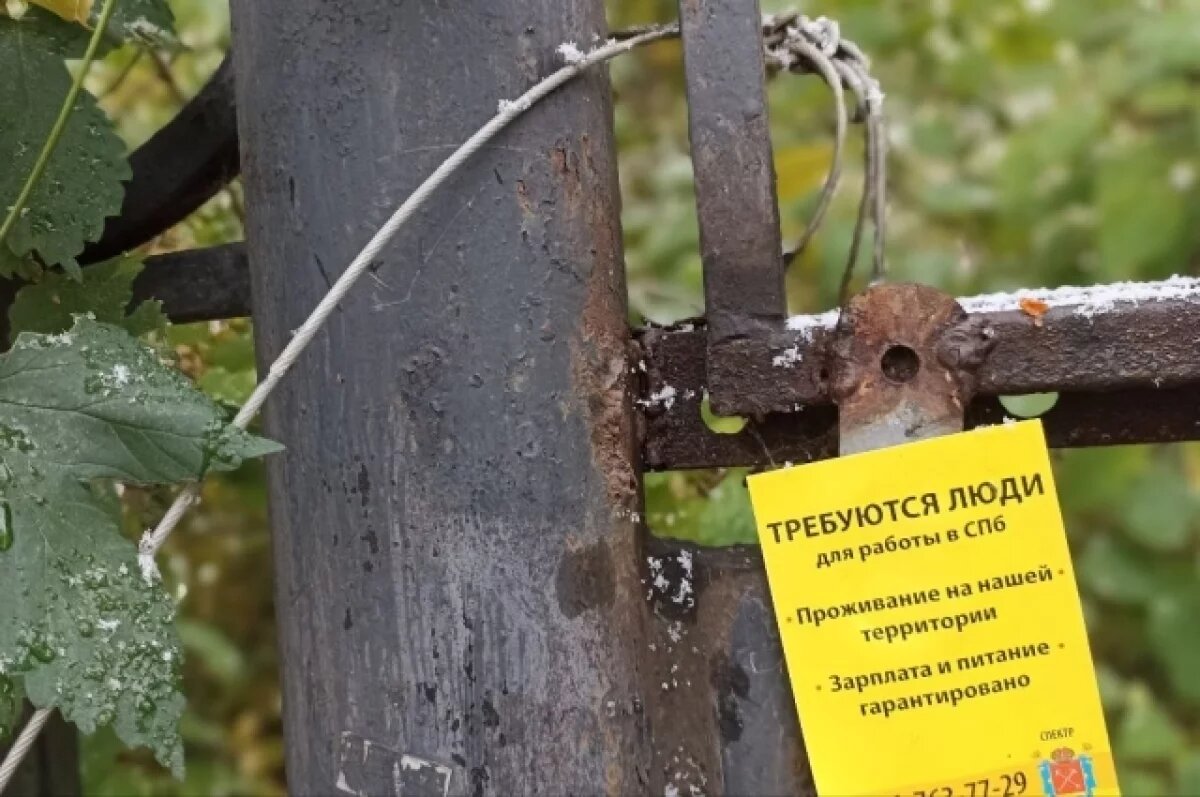    За месяц работодатели Петербурга опубликовали более 136 тысяч вакансий