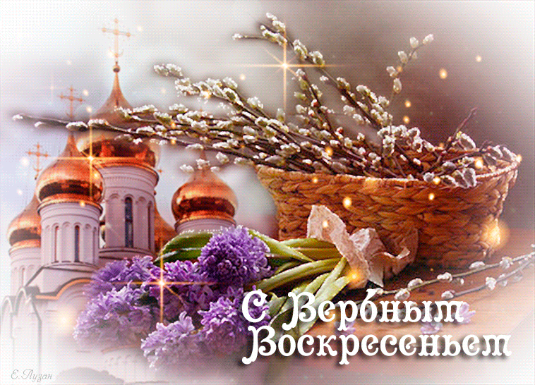 -20