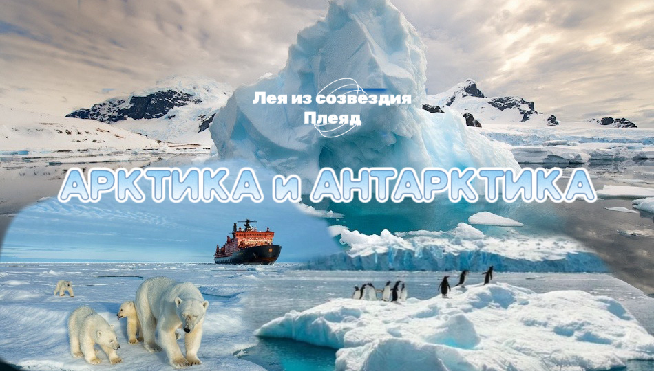 Арктика и Антарктика: тайна «льда, что поет о любви»…