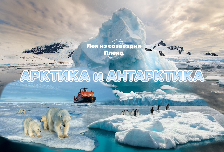 Коллаж автора