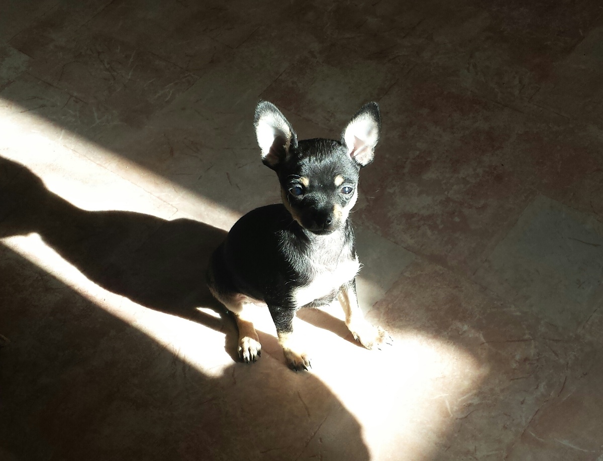 Малышке 2 месяца))