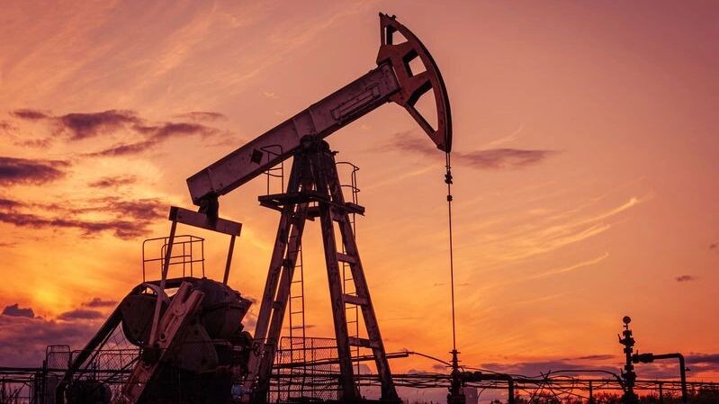    Фото: ded pixto/Shutterstock/Fotodom