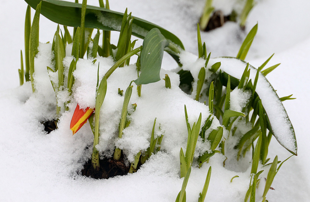   
 Фото: Ярослав Чингаев/АГН «Москва»