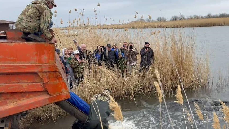 Фото: пресс-служба правительства Ростовской области