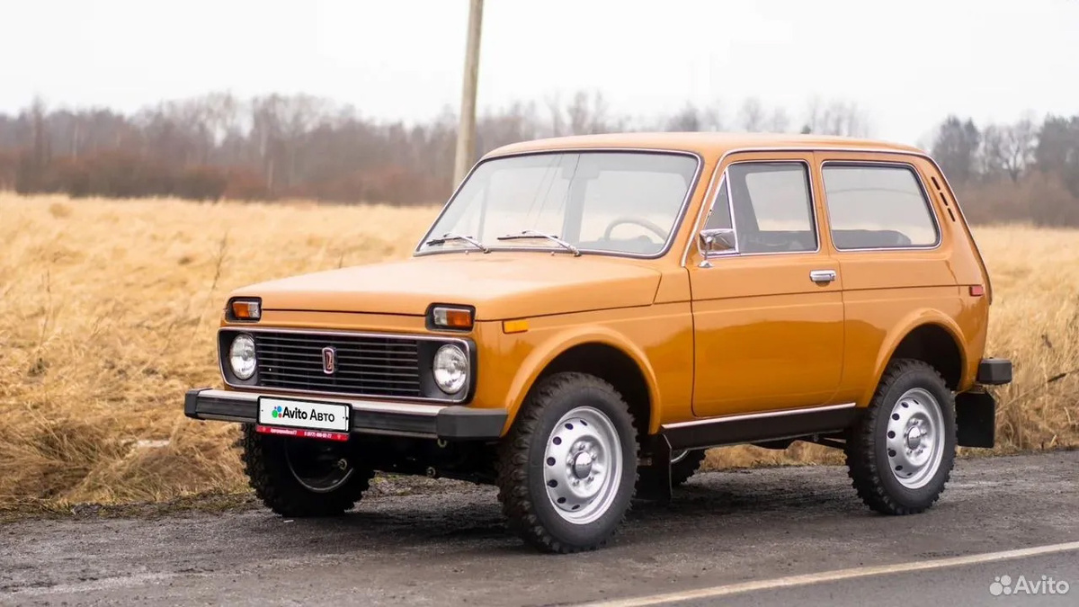 Фото: Avito  📷
