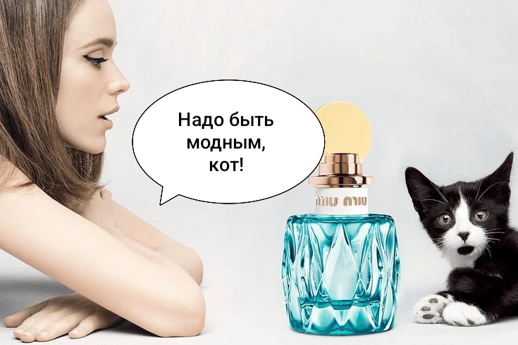 - Мурр, я и так хорош! 