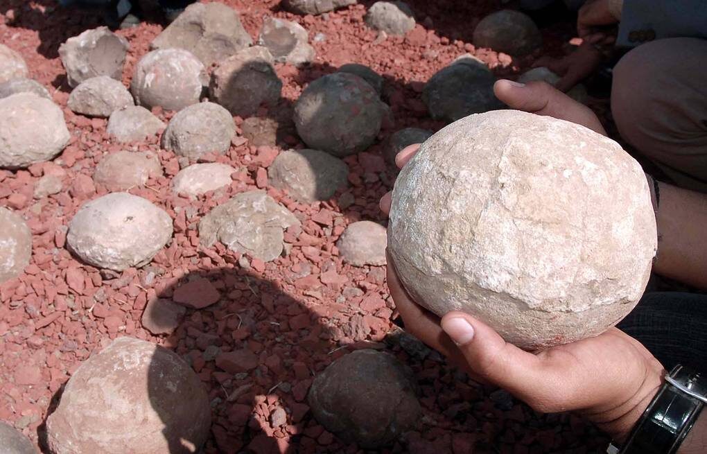 Почему вымерли динозавры? Эта загадка до сих пор волнует ученых, которые выдвигают самые невероятные гипотезы. Может, ответ на эту загадку скрывается в окаменевших яйцах древних ящеров, которые сейчас стали самыми дорогими яйцами в мире как для коллекционеров, так и для ученых.