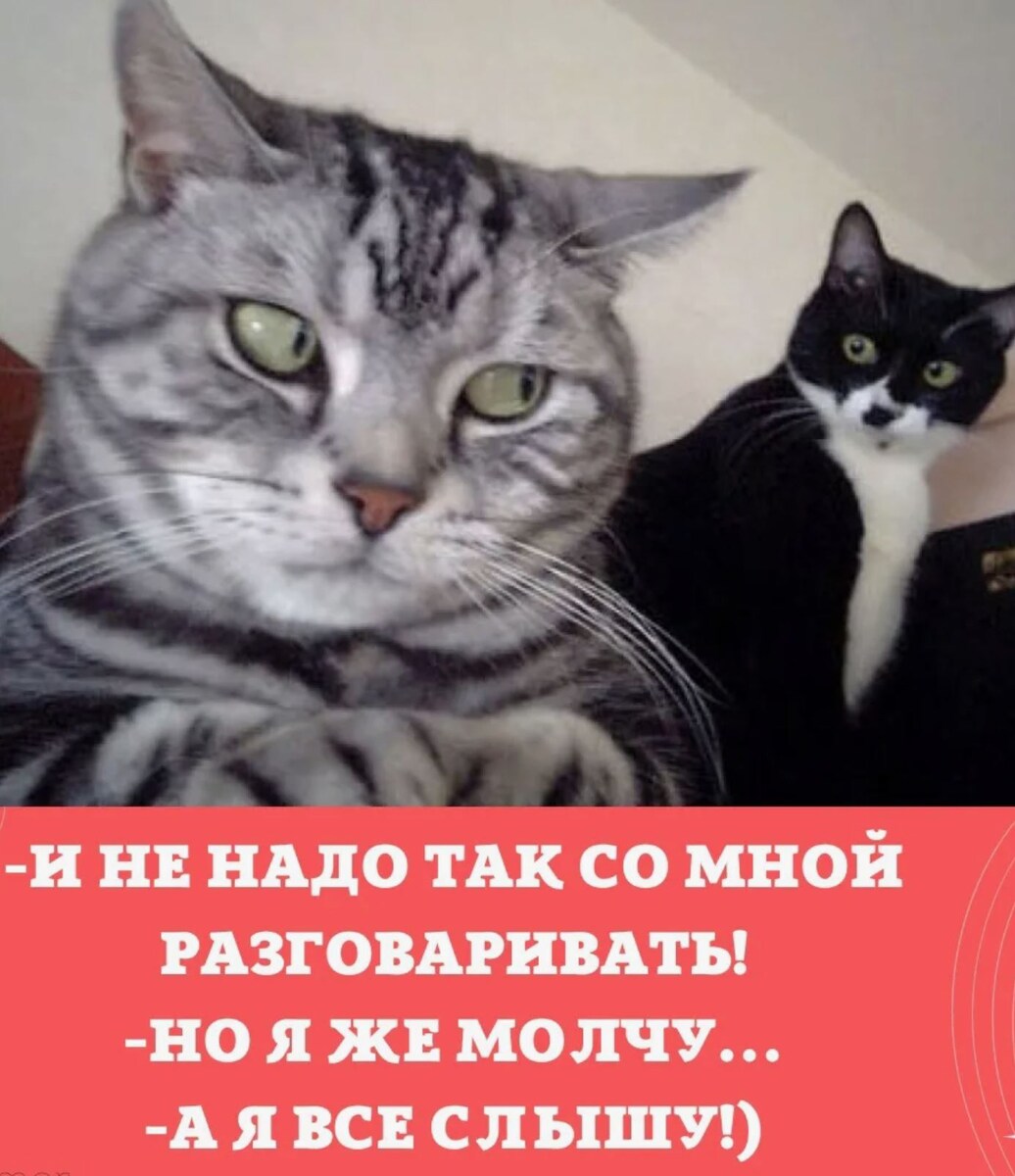 источник Яндекс-картинки