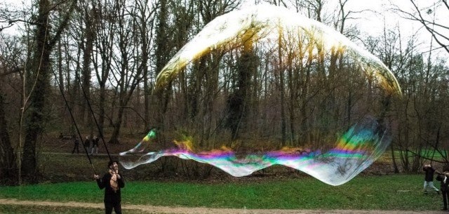 фото из интернета