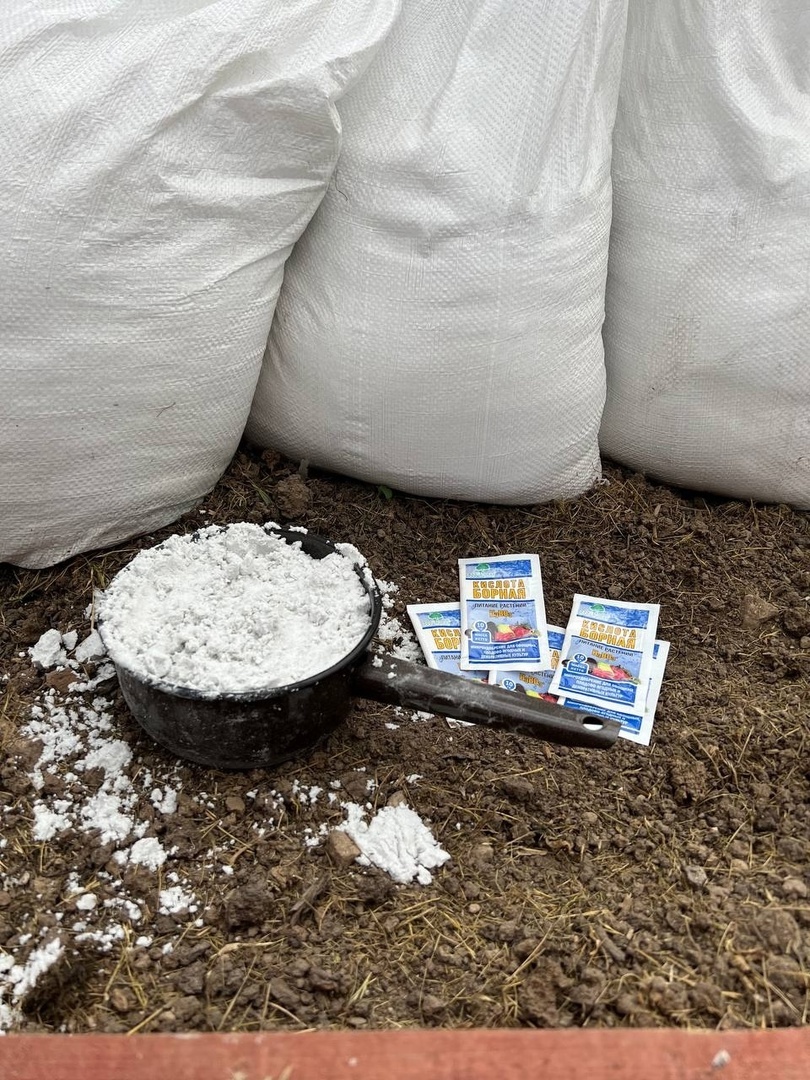 В теплице рекомендуем  ее использовать каждый год. Отлично раскисляет почву, обогащает кальцием и магнием, улучшает ее структуру, борется с вредителями, повышает усвояемость питательных веществ. Благодаря ей, на  томатах практически не бывает вершинки.

Джекоб Миттлайдер, всемирно известный ученый- агроном, рекомендует доломитовую муку смешивать с борной кислотой, из расчета 8г борной кислоты на 1 кг домомитки, и вносить в почву.
Желательно это делать за две недели до посадки овощных культур, чтобы смесь уже начала усваиваться, и не пришлось бы смешивать одновременно несколько видов удобрений.

Для томатов  очень важен бор, поэтому воспользуйтесь этой рекомендацией.

Доломитовая мука бывает  бело-серая и  желтоватая. Бело - серый цвет говорит об отсутствии примесей.