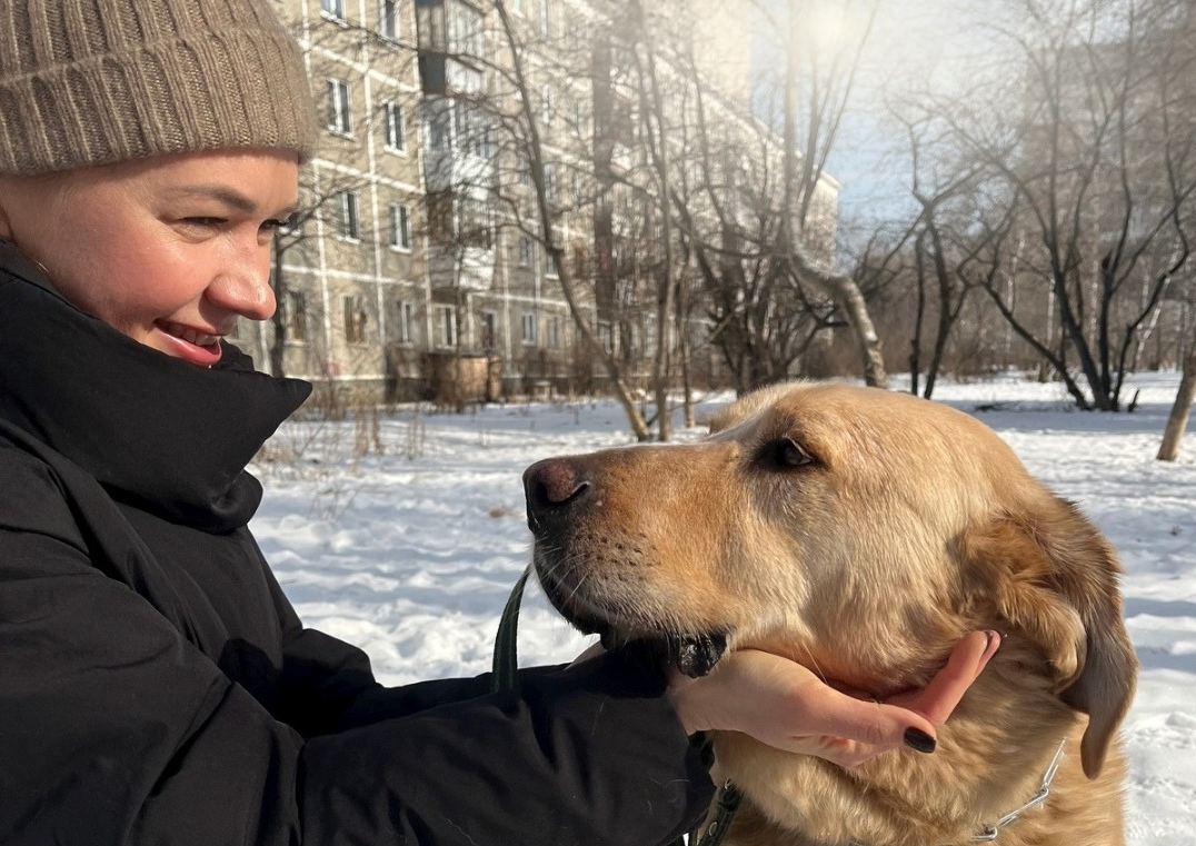    Хозяин хотел усыпить Ричи, потому что тот стал ему не нужен. Фото: сообщество ВК Благотворительный фонд «ЗООзащита»