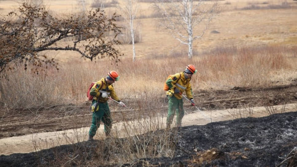 Фото: Министерство природных ресурсов Забайкальского края