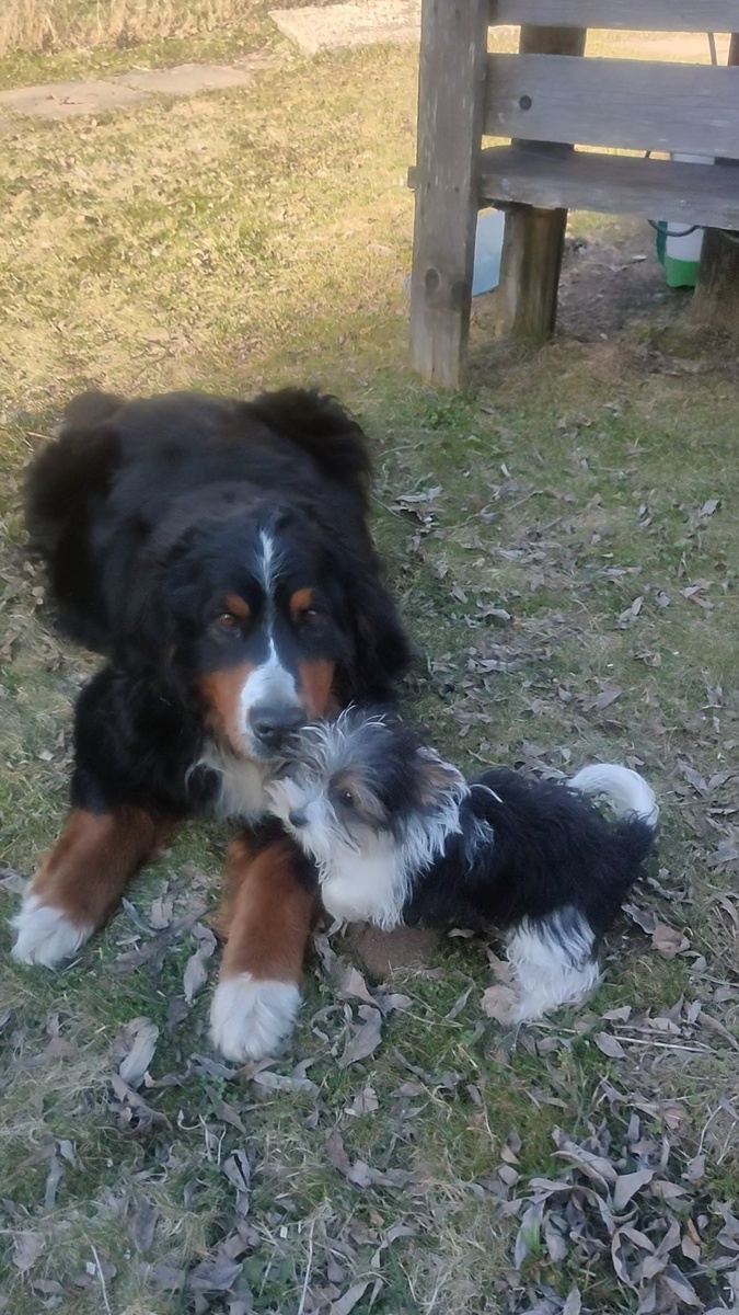 Это предпоследний день... Она с трудом вставала...