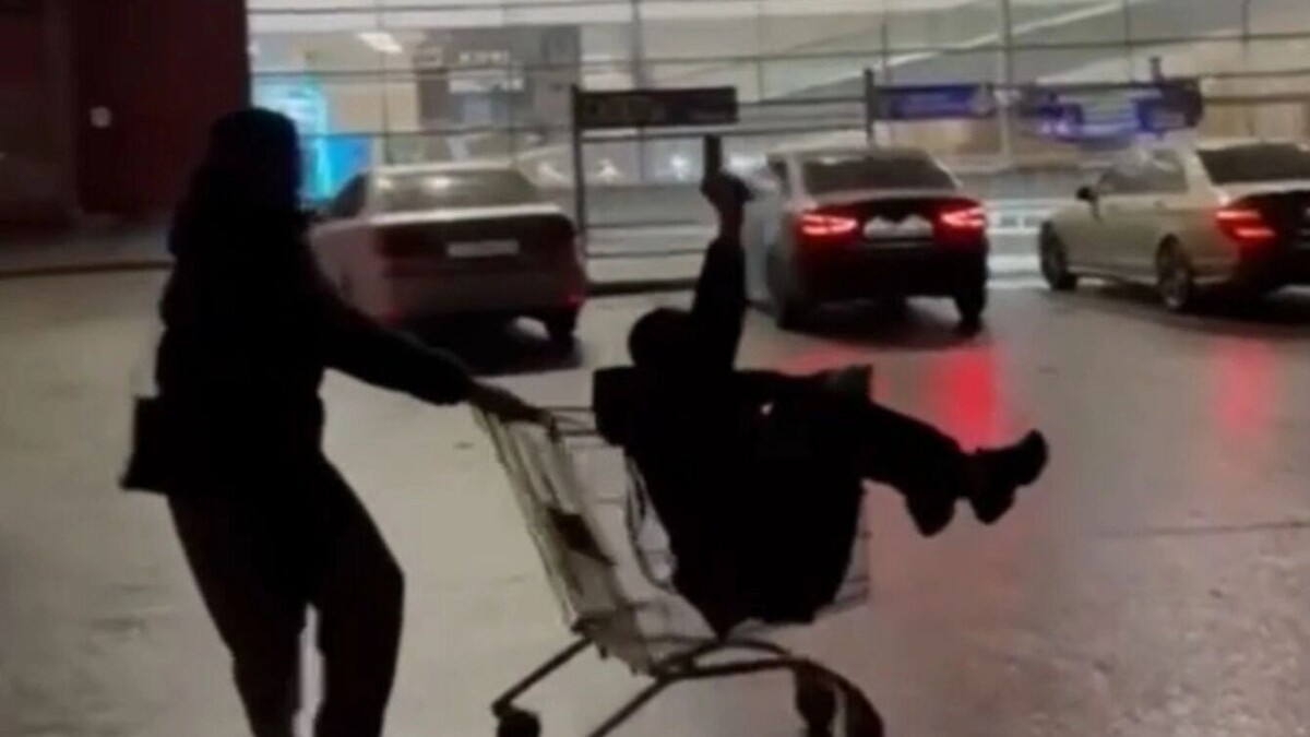     Источник: t.me/mnogonazi