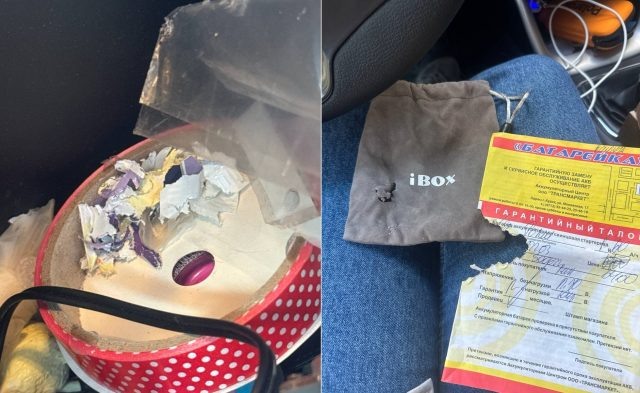     Крысы прогрызли не только провод в авто, но также документы и продукты в салоне