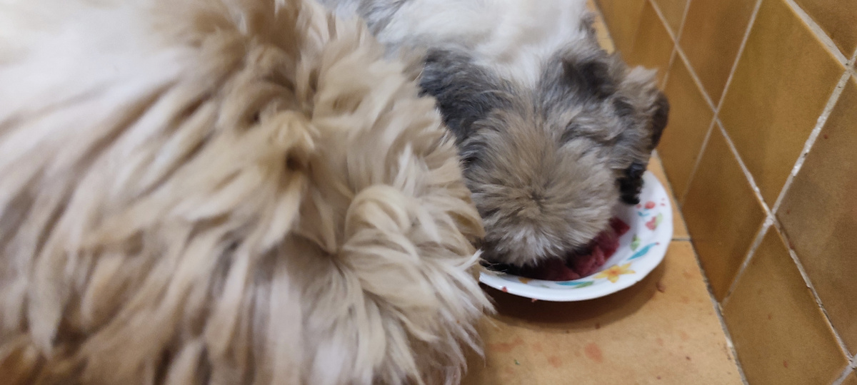 И вдвоем тоже тяжело есть из одной тарелки