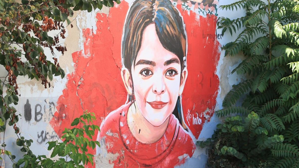 Автор рисунка азербайджанский художник Хатай Абдуллаев. Источник фото:  https://trthaberstatic.cdn.wp.trt.com.tr/resimler/2276000/narin-guran-aa-2276960.jpg.