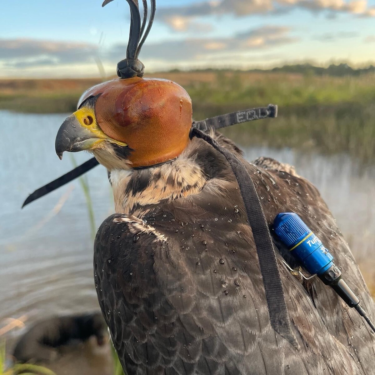 Фото предоставил Дмитрий Родионов