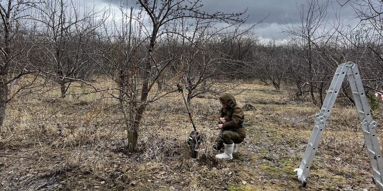    Конкурс мастеров обрезки плодовых прошел в рамках Всероссийской конференции