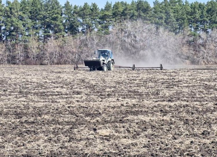    О пользе раннего боронования напомнили в Омском АНЦ