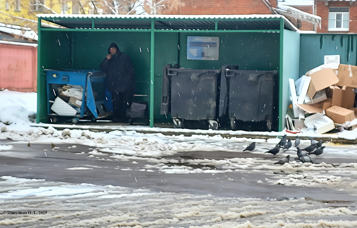 © Никулина О.Л., 2025