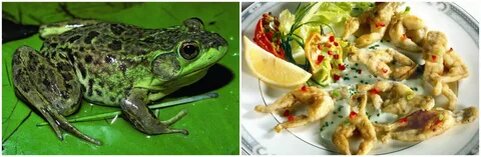 О вкусах не спроят... кулинарных.