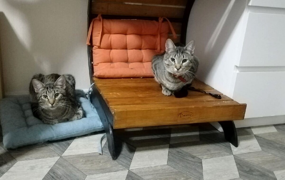 Слева направо: Том и Тим