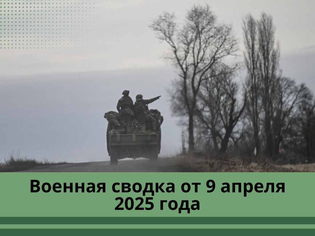 Фото: sputnik-ossetia.ru