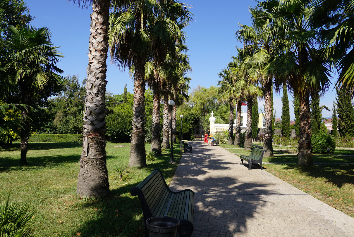 Парк Южные культуры.все фото подборки сделаны автором публикации