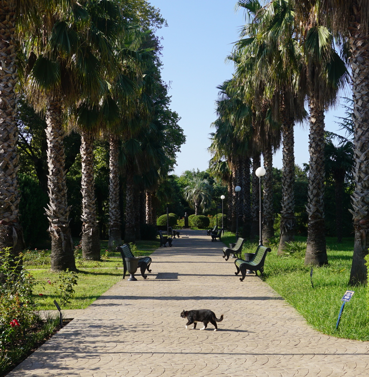 Парк Южные культуры.все фото подборки сделаны автором публикации