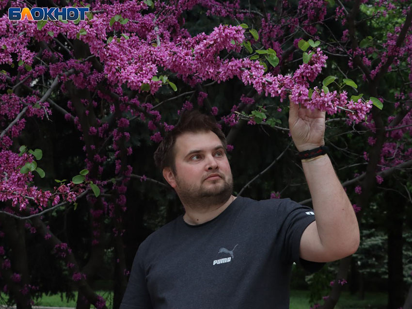 Архивное фото: «Блокнот Донецк»