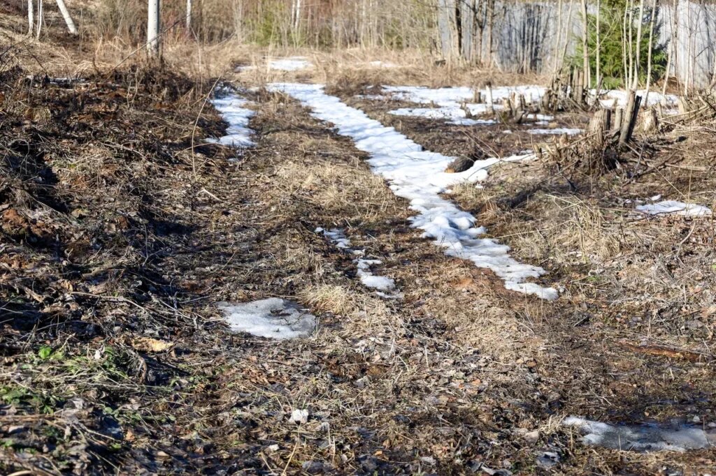    Фото: Елена Майорова Полина Анкушина