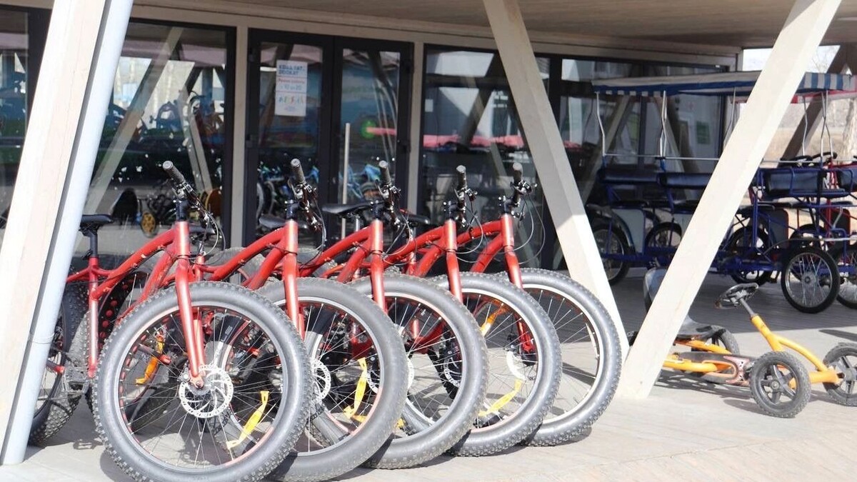     Источник: t.me/tatyshev_park