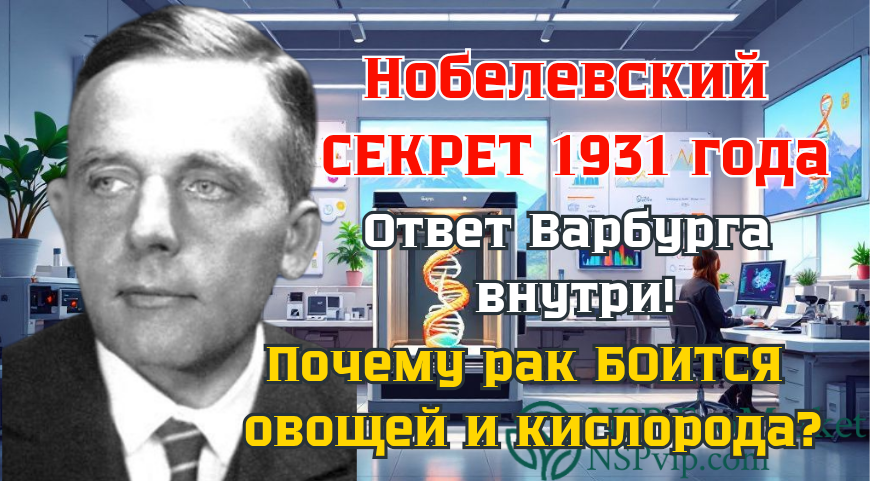 Отто Варбург предупредил: Сахар — «топливо» рака! 3 шага, чтобы лишить опухоли пищи и спасти митохондрии. 