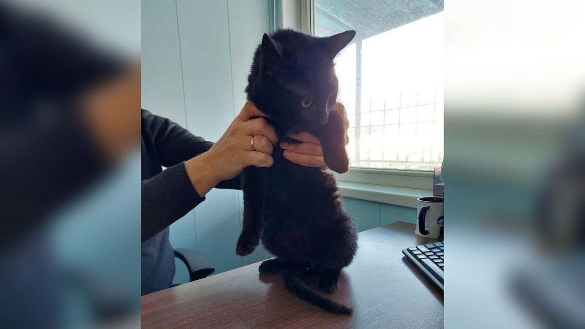    Фото: t.me/tg_fesco