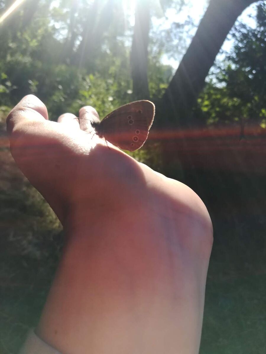 Личное фото автора. 