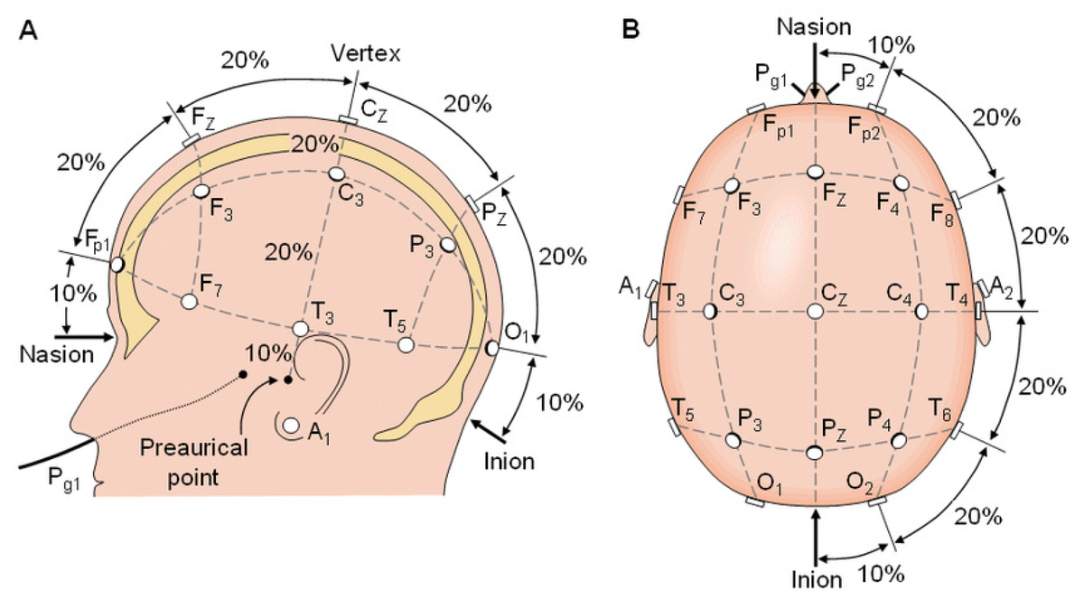 Electrode placement system 10-20%