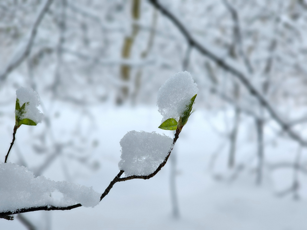 Утонуть в снегу легко, под конец апреля