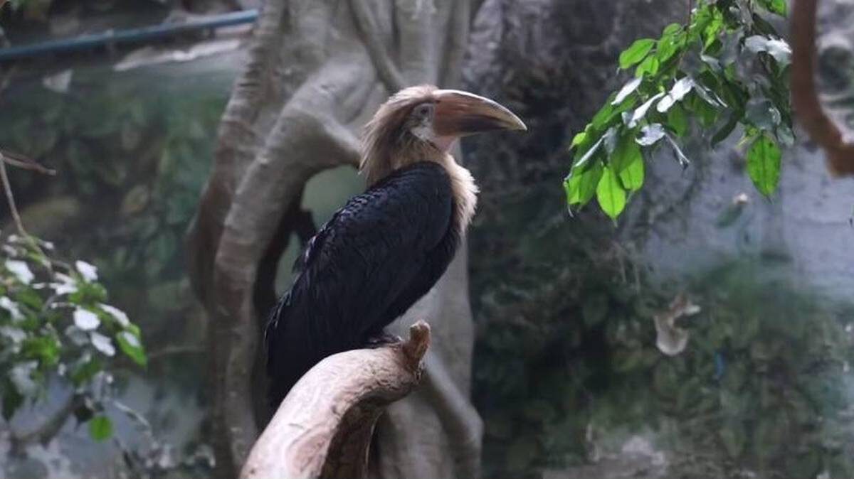    Фото: Telegram / Электронные сервисы Москвы