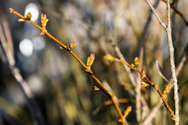   Фото из архива Калининград.Ru