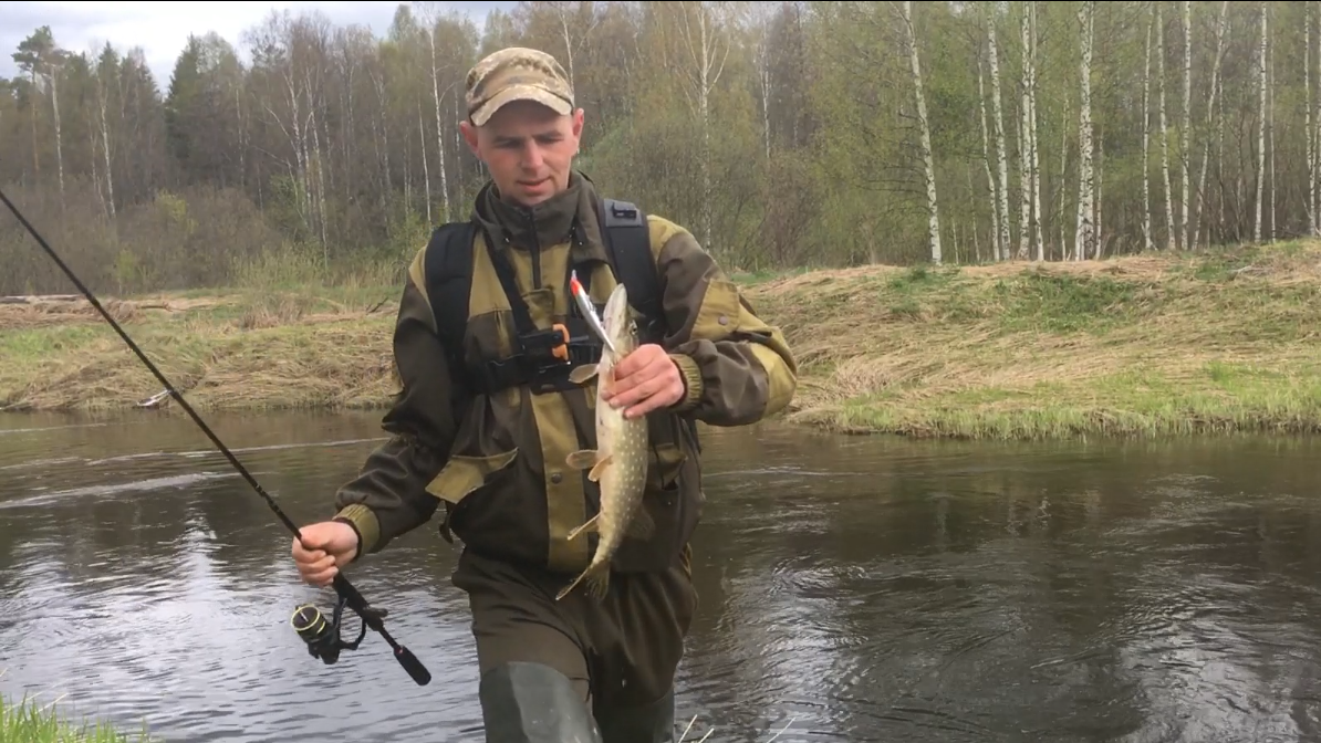 Из открытого источника Яндекс