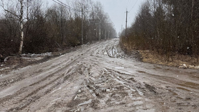 Фото: Пресс-служба СУ СКР по Ленинградской области
