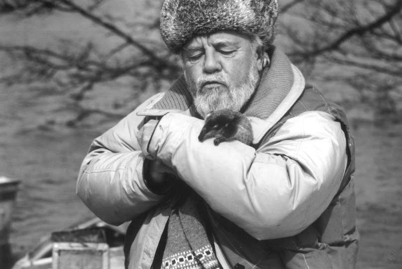Дедушка Даррелл и зайцы