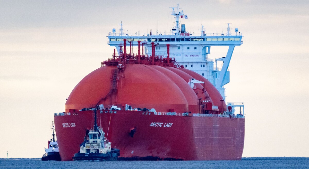     / Источник: © Stefan Sauer/Global Look Press